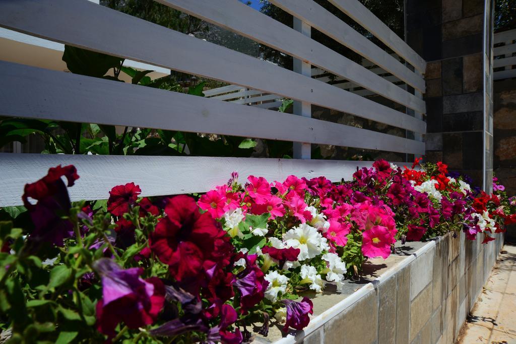 Neruda Hotel Καλκάν Εξωτερικό φωτογραφία